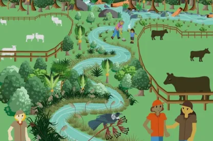 A graphic image depicting healthy waterways in New Zealand