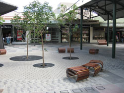 Langtree Mall Tree Pits | Clearwater - training and events on ...